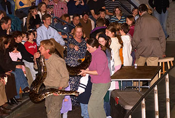 An 18' Burmese Python gets stretches out a bit.